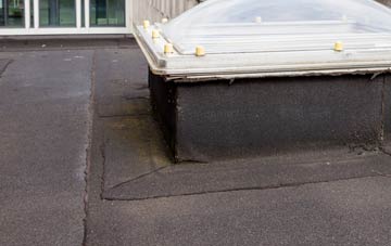disadvantages of Johnson Street flat roofs